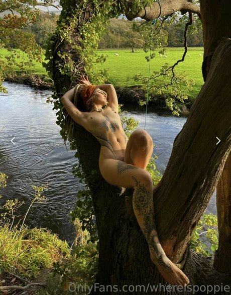 Poppie onlyfans explicit content