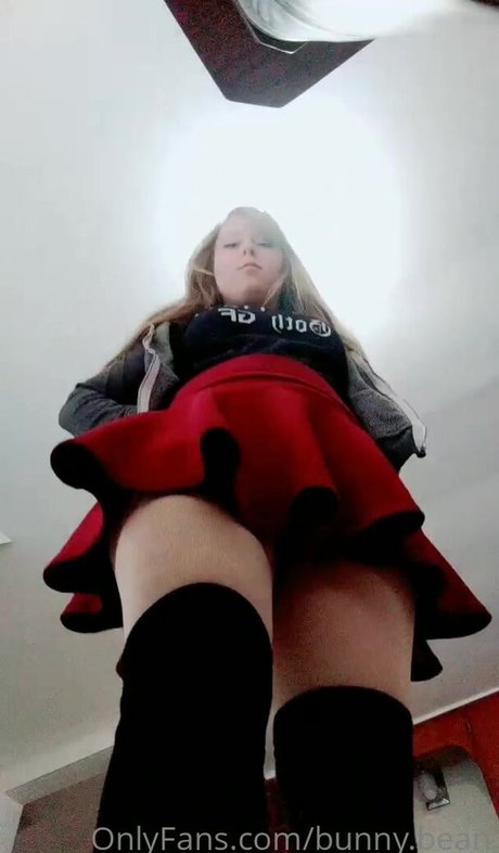 Unused Notebook onlyfans picture