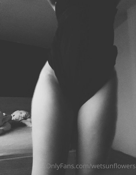 wetsunflowers onlyfans leaked porn