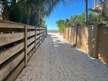 carmen nem strip onlyfans