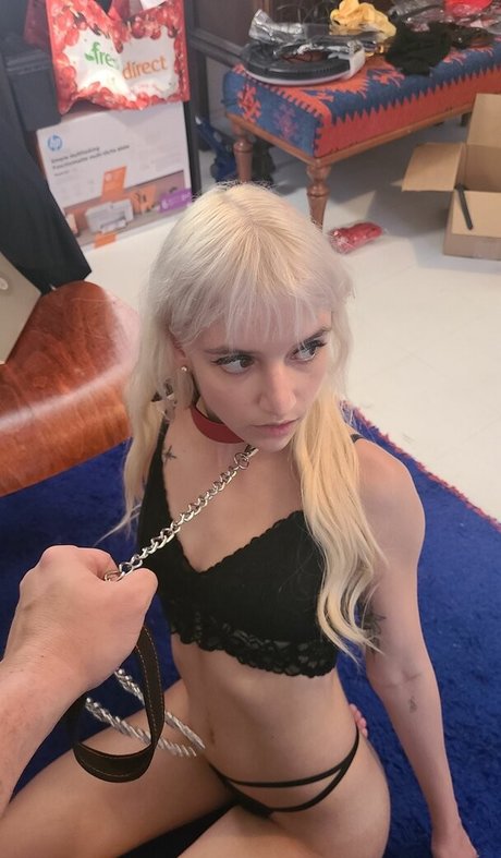 catsandkittens456 leaked onlyfans photos