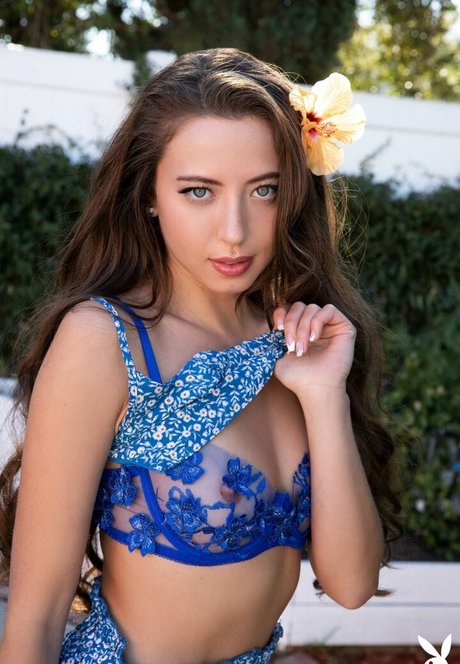 Lauryn Wolfe only fans leaks