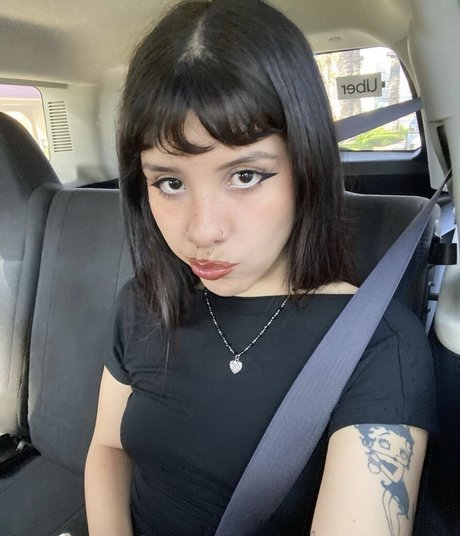 palechubs onlyfans exposed