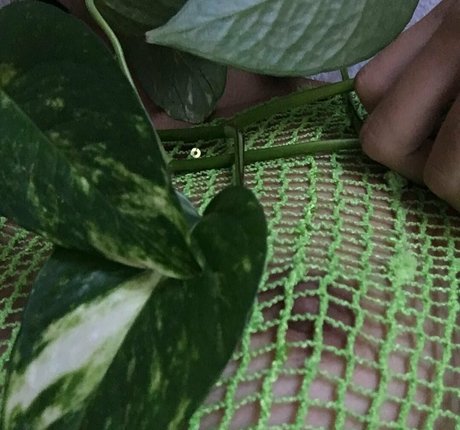 harami mami onlyfans leaks free