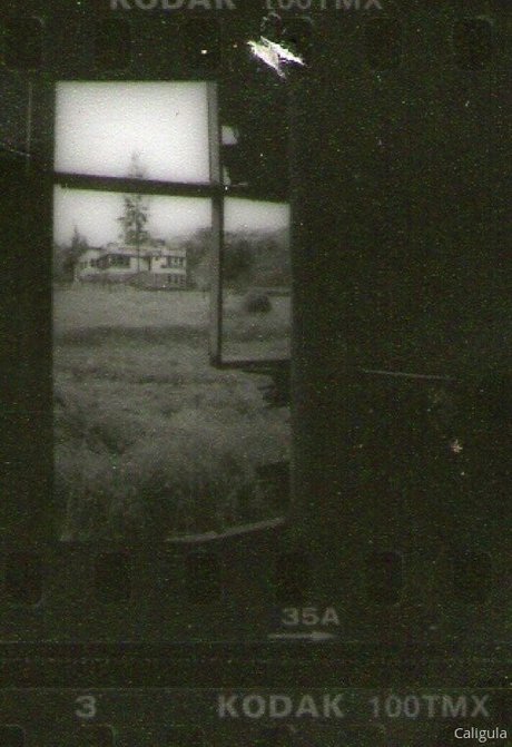 xxxcaligulaxxx onlyfans pics nude