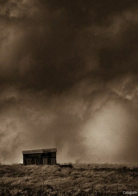 xxxcaligulaxxx onlyfans nude leak