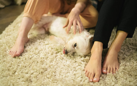 Vivienne Law sextape onlyfans