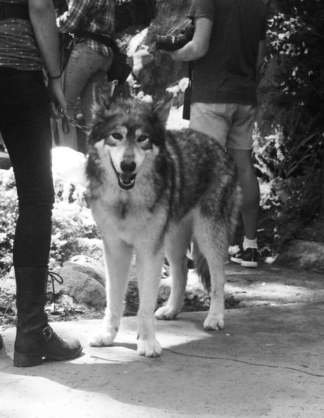 Roos Van Montfort only fans leak nude