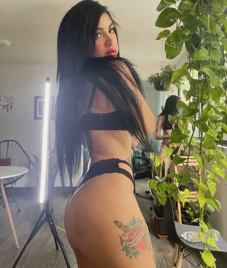 Amerikat onlyfans leaj