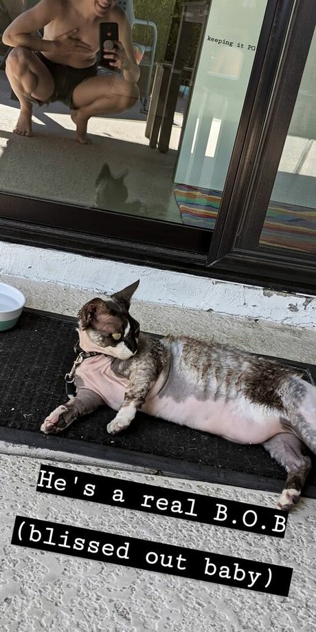 Hannah Hart onlyfans naked leaks