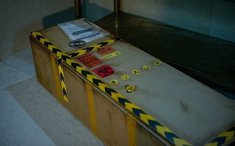 Shinkojima onlyfans leak sex