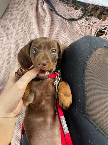 Alliyah leaked onlyfans nudes