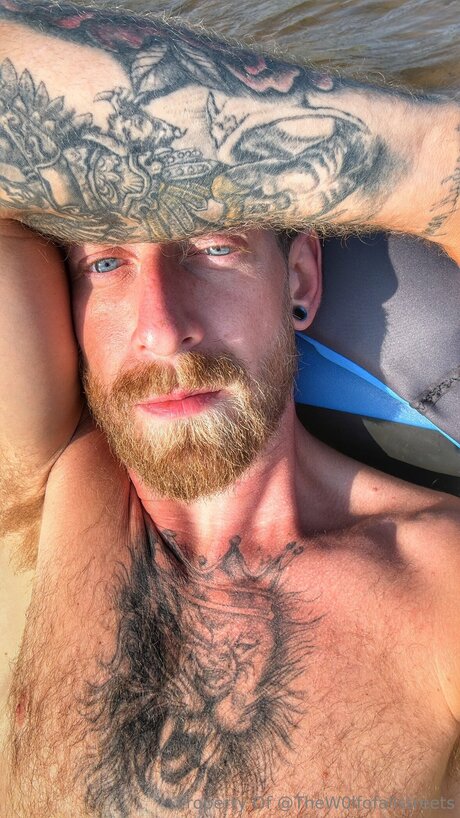 Thew0lfofallstreets onlyfans pic