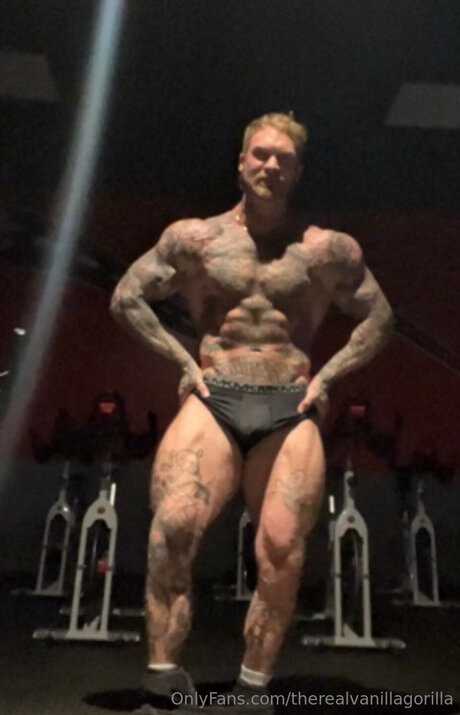 Therealvanillagorilla only fans pics