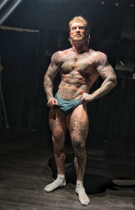 Therealvanillagorilla onlyfans leaked nude