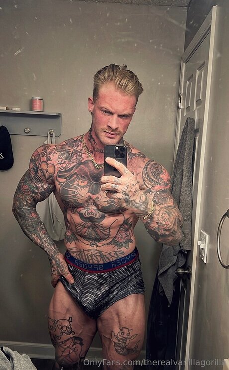 Therealvanillagorilla onlyfans picture