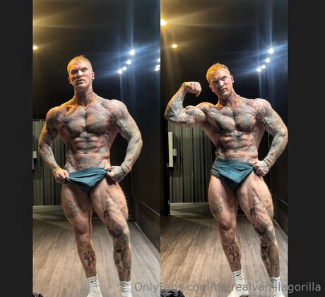 Therealvanillagorilla porn leaked onlyfans