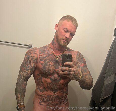 Therealvanillagorilla onlyfans boobs