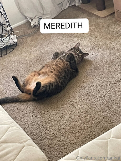 Pnkgf leaks onlyfans porn