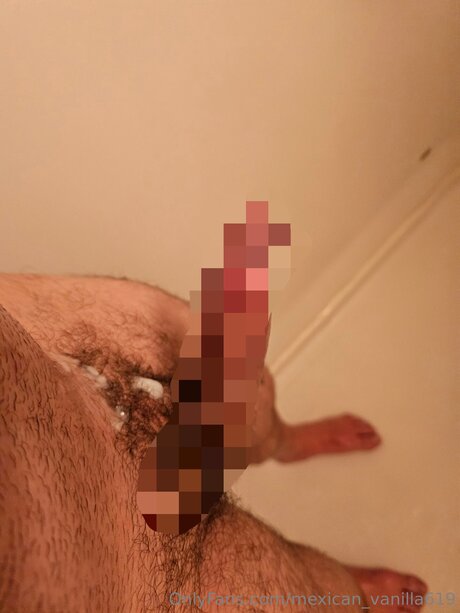 Mexican Vanilla619 onlyfans topless