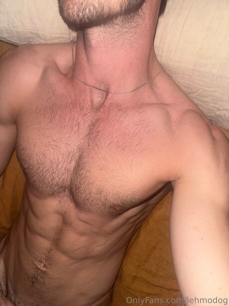 Lehmodog onlyfans nudes