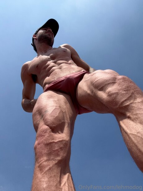 Lehmodog onlyfans leaks porn