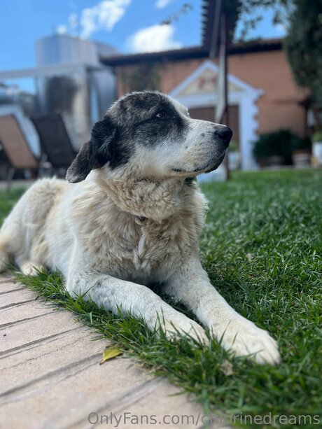 Chlorinedreams onlyfans porn