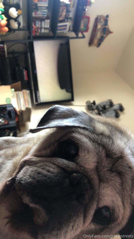 Jumpstreetz leaked onlyfans nudes