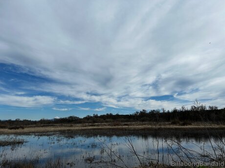 Billabongbandaid onlyfans nude porn