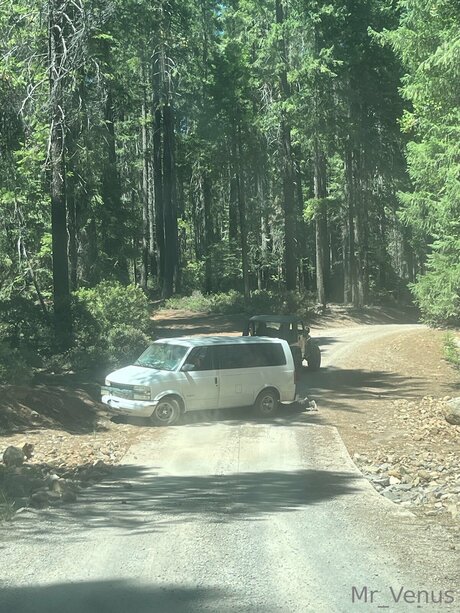 Mr Venus onlyfans full