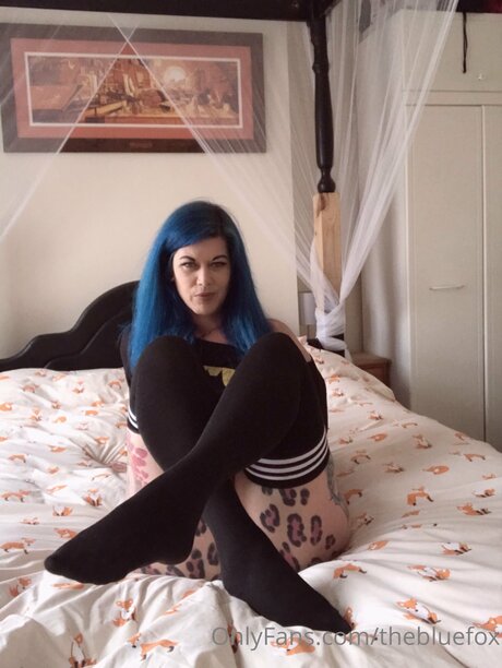 Thebluefox onlyfans nude pictures