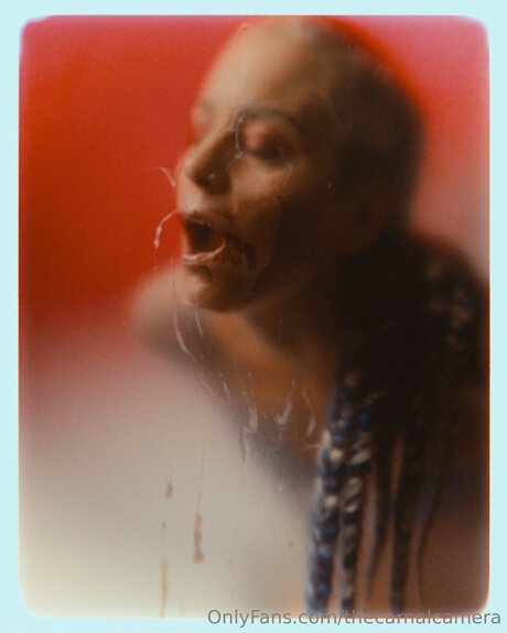 Thecarnalcamera Profile pic