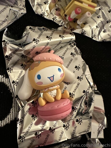 Hanihachi onlyfans fotos