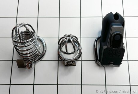 Missfallon onlyfans leaks nudes