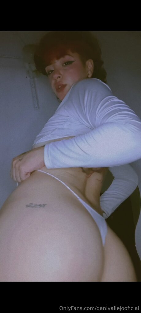 Danivallejooficial onlyfans posts