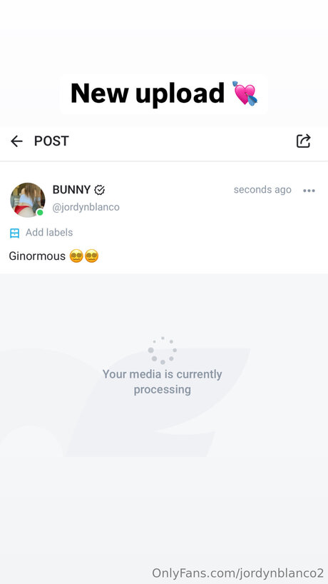 Jordynblanco2 onlyfans nude pics