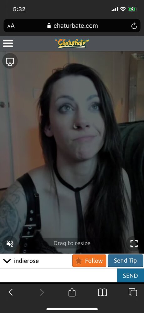 Indieroselive onlyfans for free
