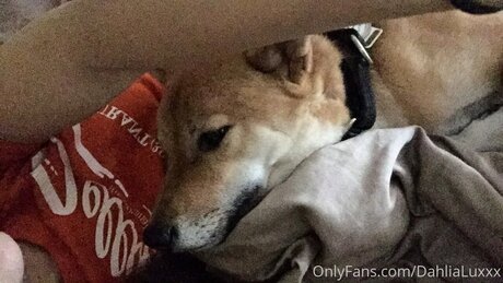 Dahlialuxxx onlyfans leaks sex