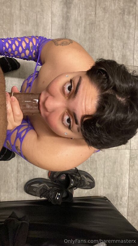 Haremmasterx onlyfans leak free