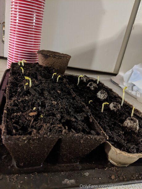 Esora Luvey Free onlyfans porn