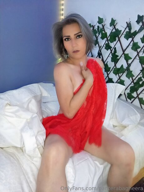 Panterabagheera fans only