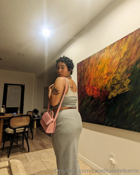 Canelitaladelbarrio nude porn onlyfans