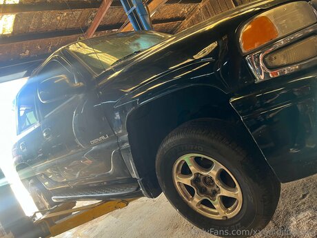 Xxgoldilocksxx Profile pic