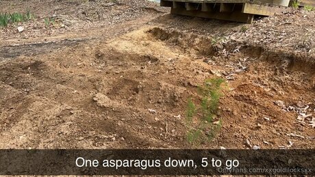 Xxgoldilocksxx sexy onlyfans