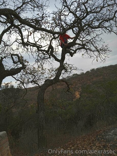 Alexrasec onlyfans free