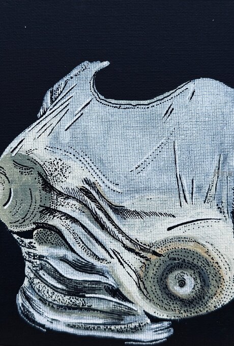 U464958276 onlyfans strip tease