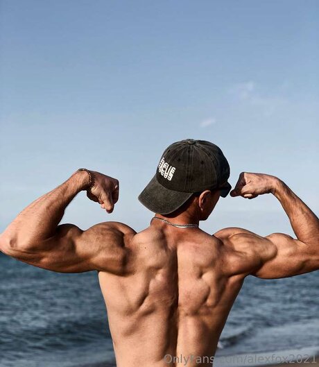 Alexfox2021 only fans.