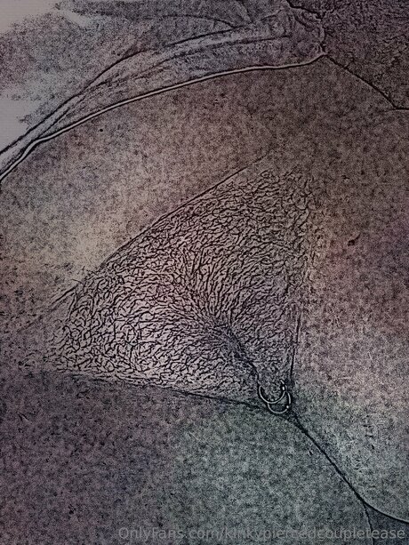 Kinkypiercedcoupletease hot onlyfans