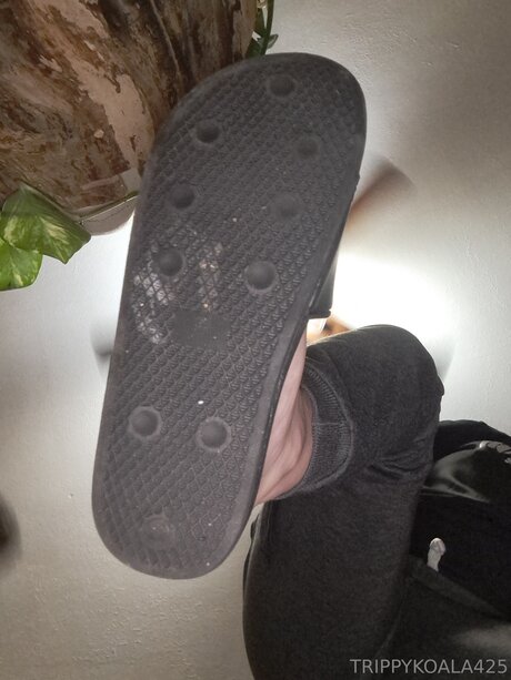 Trippykoala425 leaked onlyfans