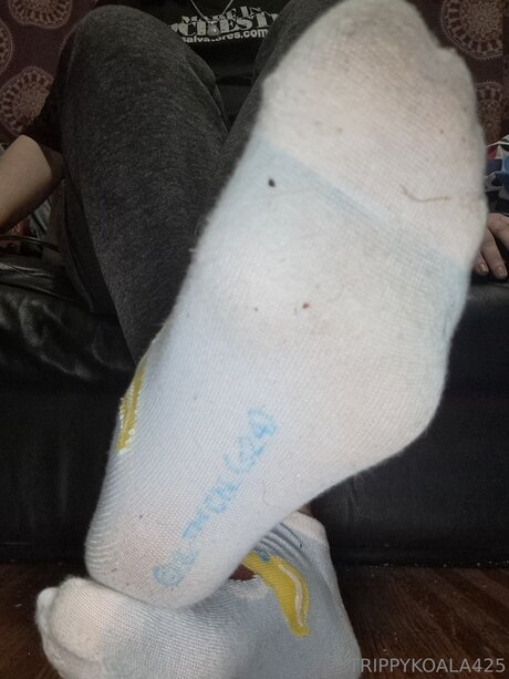 Trippykoala425 onlyfans leaks xxx